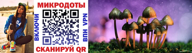 Галлюциногенные грибы Psilocybine cubensis  Суздаль 